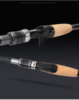 Travel set from fishing rod made from carbon in comfortable bag