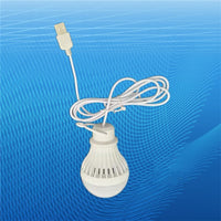 Portable Lantern Camp Lights 1.2m USB Bulb 5W/7W